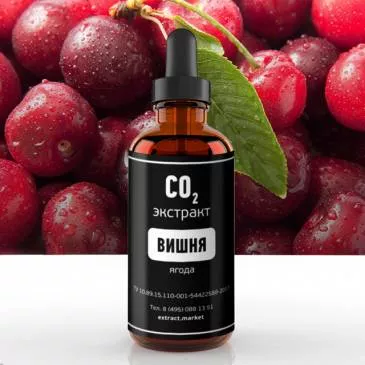 СО2 экстракт вишни (ягода) (лат. Prunus subg.Cerasus) СО2 экстракт вишни (ягода) (лат. Prunus subg.Cerasus)