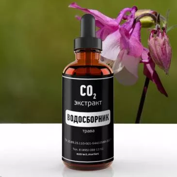 СО2 экстракт водосборника (трава) (лат. Aquilegia)