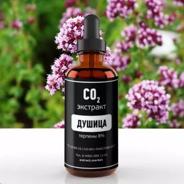 СО2 экстракт душицы (терпены 8%) (лат. Origanum vulgare L)