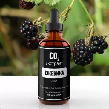 СО2 экстракт ежевики (лист) (лат. Rubus Caucasus L)
