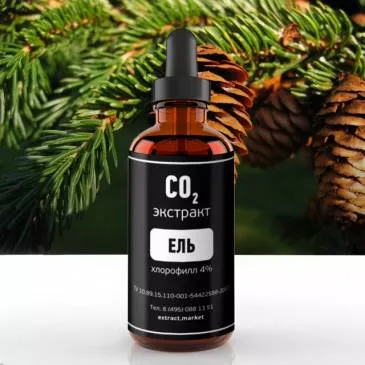 СО2 экстракт ели (хлорофилл 4%) (лат. Picea alba)