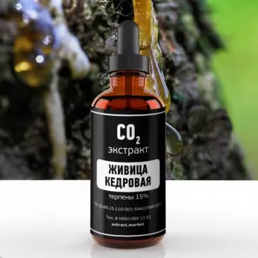 СО2 экстракт живицы кедровой (терпены 15%) (лат. Pinus sibirica)