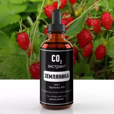 СО2 экстракт земляники (лист) (терпены 4%) (лат. Fragaria L)