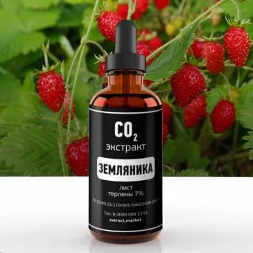 СО2 экстракт земляники (лист) (терпены 7%) (лат. Fragaria L)