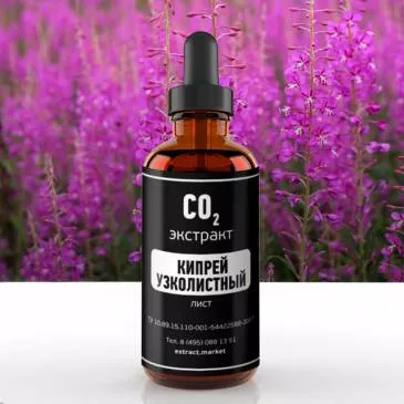 СО2 экстракт кипрея узколистного (лист) (лат. Epilobium)