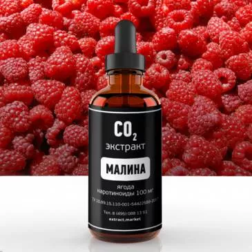 СО2 экстракт малины (ягода) (каротиноиды мг 100) (лат. Rubus idaeus)