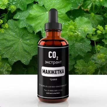 СО2 экстракт манжетки (трава) (лат. Alchemilla vulgaris.)