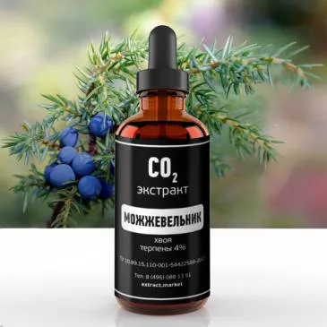 СО2 экстракт можжевельника (хвоя) (терпены 4%) (лат. Juniperus communis)