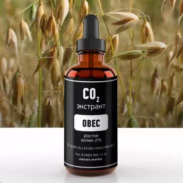 СО2 экстракт овса (ростки) (холин 2%) (лат. Avena sativa)
