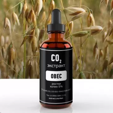 СО2 экстракт овса (ростки) (холин 5%) (лат. Avena sativa)