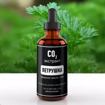 СО2 экстракт петрушки (эфирное масло 10%) (лат. Petroselinum crispum)