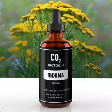СО2 экстракт пижмы (трава) (лат. Tanacetum vulgare)