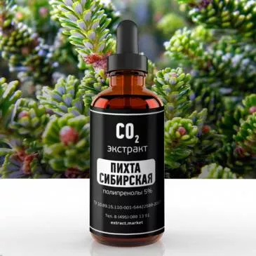 СО2 экстракт пихты сибирской (полипренолы 5%) (лат. Abies sibirica)