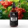 СО2 экстракт рябины красной (терпены 1%) (лат. Sorbus aucuparia)