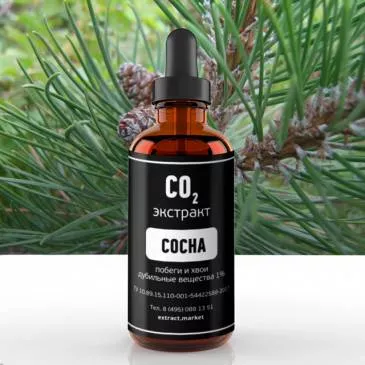 СО2 экстракт сосны (побеги и хвои) (дубильные вещества 1%) (лат. Pinus sylvestris L.)
