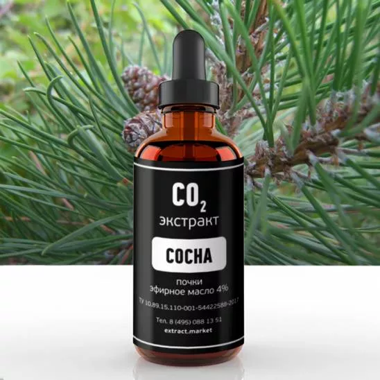 СО2 экстракт сосны (почки) (эфирное масло 4%) (лат. Pinus sylvestris L.)