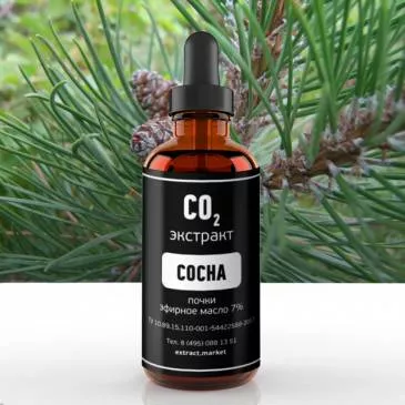 СО2 экстракт сосны (почки) (эфирное масло 7%) (лат. Pinus sylvestris L.)