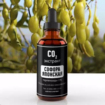 СО2 экстракт софоры японской (терпеноиды 1%) (лат. Sophora japonical L)