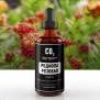 СО2 экстракт родиолы розовой (корень) (лат. Rhodiola rosea)