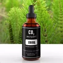 СО2 экстракт хвоща (флавоноиды 1%) (лат. Equisetum arvense)