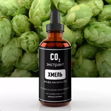 СО2 экстракт хмеля (альфа кислоты 2%) (лат. Humulus lupulus)