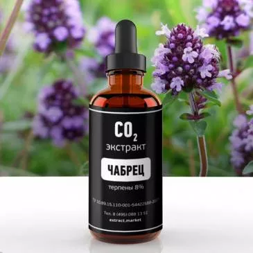 СО2 экстракт чабреца (терпены 8%) (лат. Thymus serpyllum)