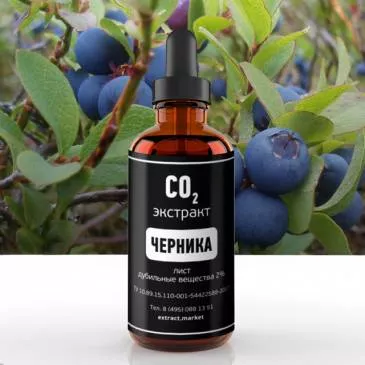 СО2 экстракт черники (лист) (дубильные вещества 2%) (лат. Vaccinium myrtillus)