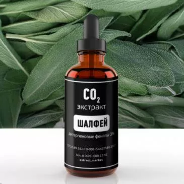 СО2 экстракт шалфея (дитерпеновые фенолы 3%) (лат. Salvia officinalis)