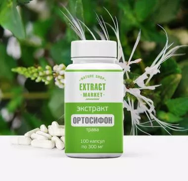 Экстракт Ортосифона (трава) капсулы Экстракт Ортосифона (трава) капсулы